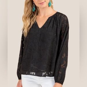 Francesca’s Black Sheer Textured Floral V-Neck Blouse | Size Small